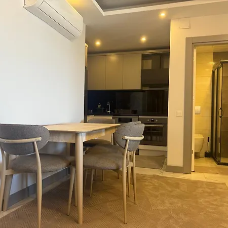 New Brand Penthouse Duplex With Sea View Appartement